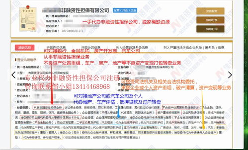 獨(dú)家渠道代辦非融資性擔(dān)保公司 專業(yè)金融信息咨詢服務(wù)指南
